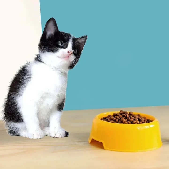 Cat Dog Food Bowl