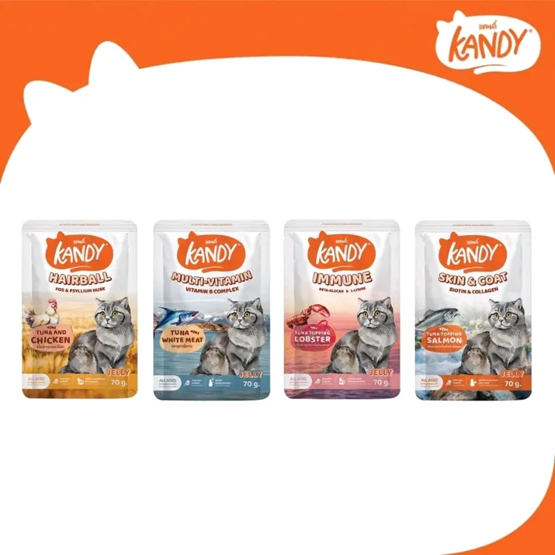 Kandy Pouch Wet Cat Food 70g Random Flavor