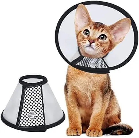 Cat E Collar