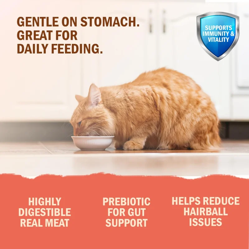 Bellotta Premium Wet Food for Cats and Kittens,Tuna and Salmon - Image 2